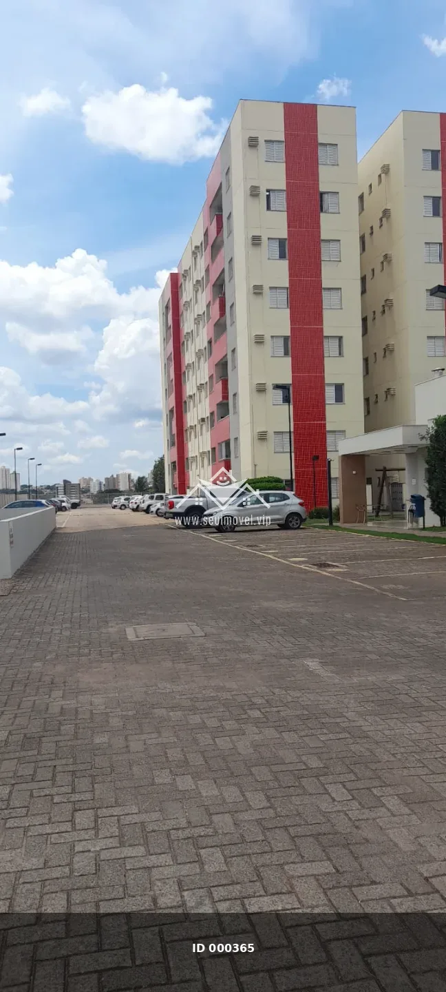 Imagem 7