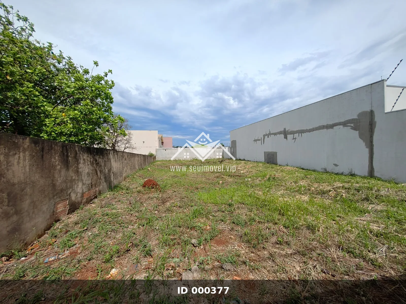 Imagem 2