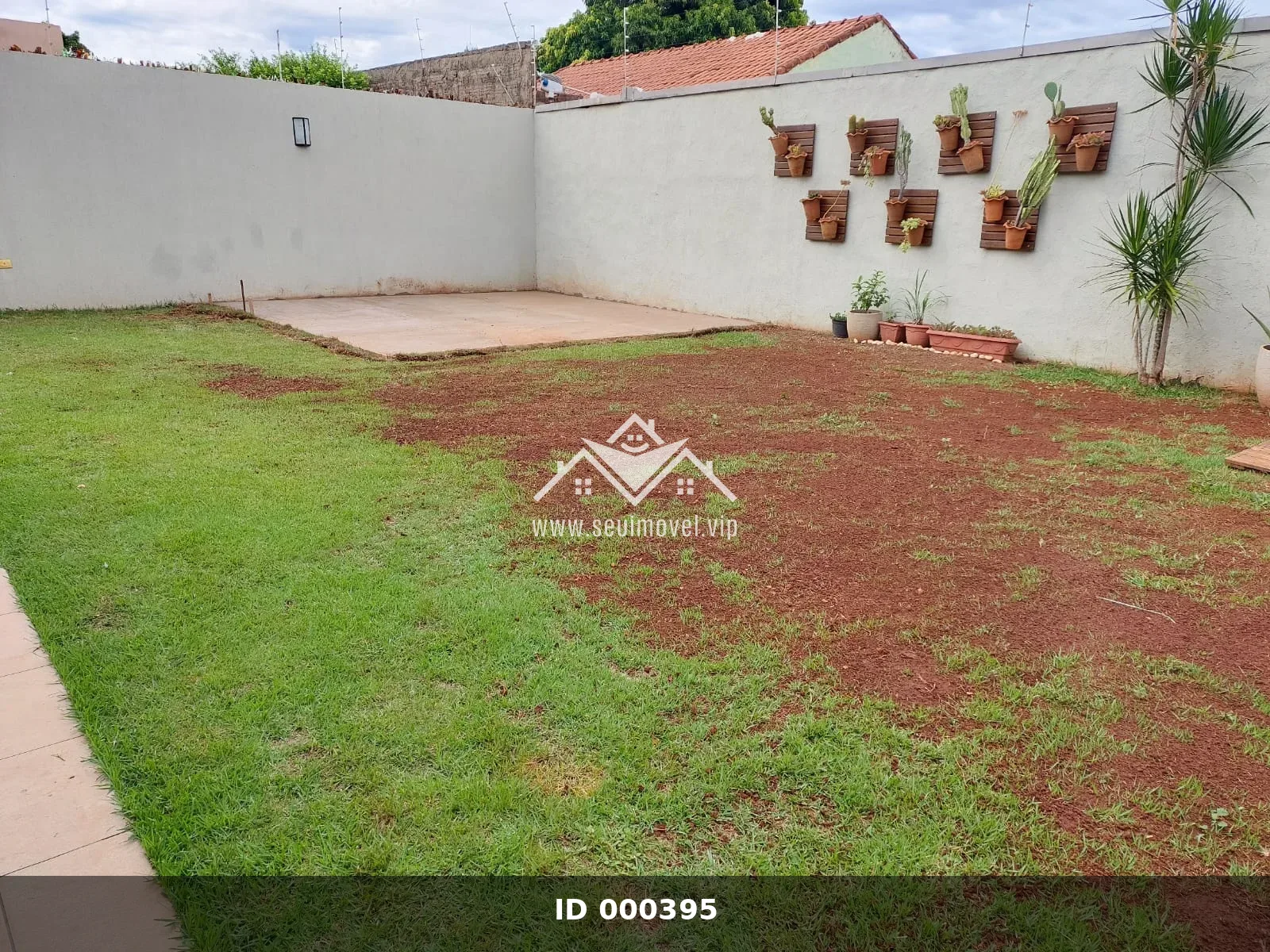 Imagem 3